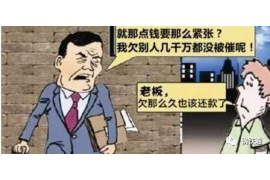 振安债务清欠服务