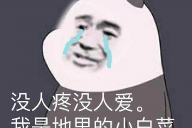 振安债务清欠服务